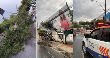 Chuva provoca queda de árvores e de um outdoor em Betim
